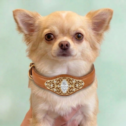 Pet Jewelry Collection